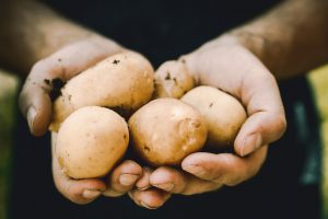 manos con patatas naturale